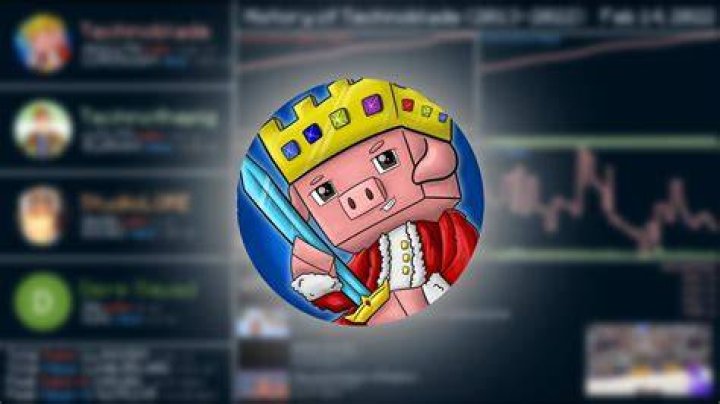 Technoblade video statistics