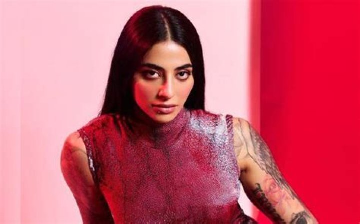 VJ Bani Net Worth